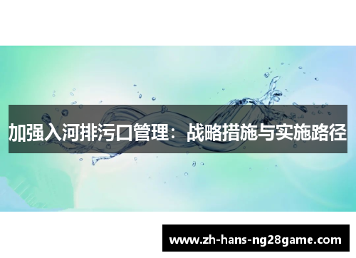 加强入河排污口管理:战略措施与实施路径