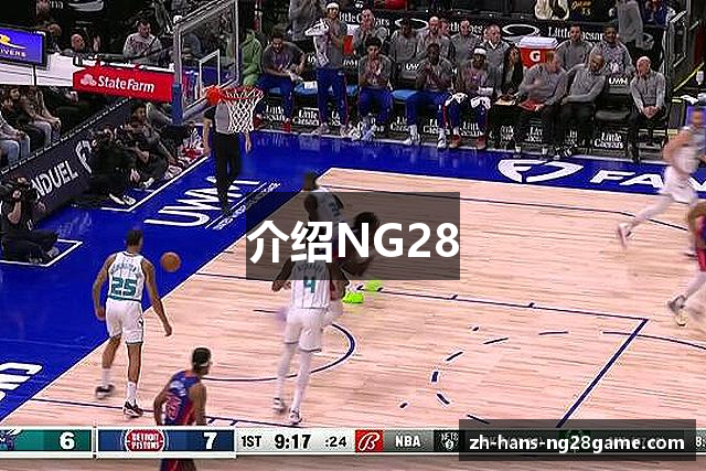 介绍NG28